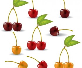 Fresh cherry realistic vector illustration 03