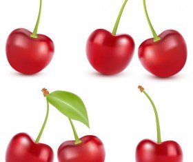 Fresh cherry realistic vector illustration 04