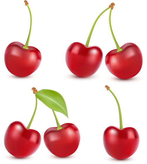 Fresh cherry realistic vector illustration 04