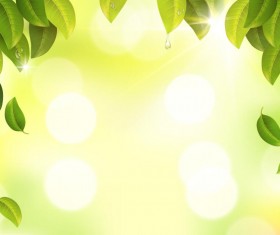 Green leaves with sunlight blurs background vector