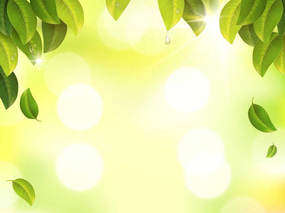 Green leaves with sunlight blurs background vector free download