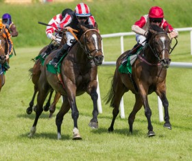Horse Racing Stock Photo 01