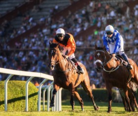 Horse Racing Stock Photo 02