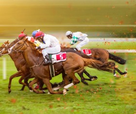 Horse Racing Stock Photo 03