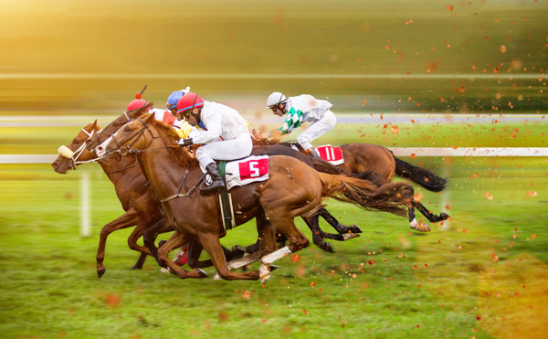 Horse Racing Stock Photo 03
