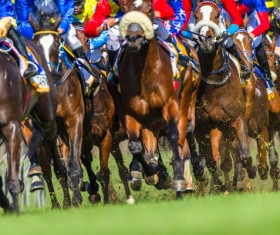 Horse Racing Stock Photo 04