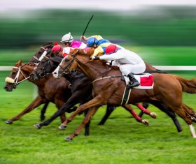 Horse Racing Stock Photo 05