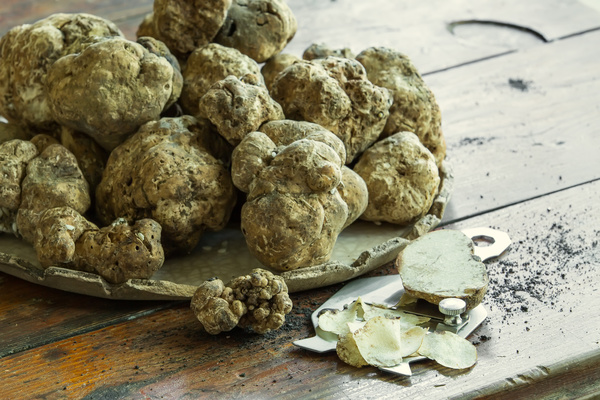 Italian white truffles Stock Photo 02