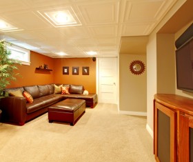 Living room leather sofa with green plants Stock Photo