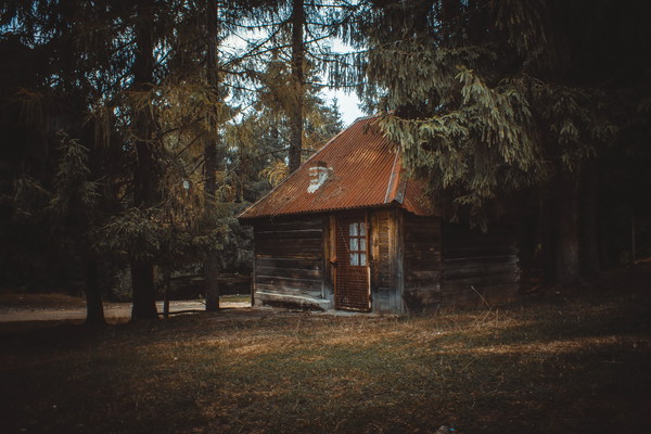 Log cabin in the forest Stock Photo