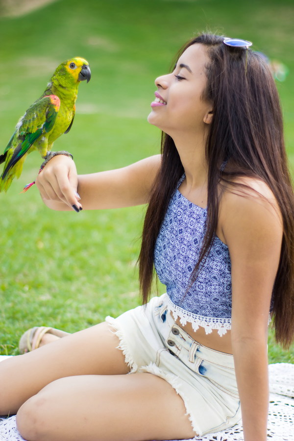 Parrot standing on the girls arm Stock Photo