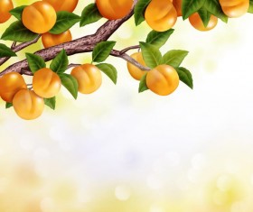 Peach branches with blurs background vector