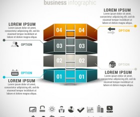 Pizzle modern infographic template vector 07