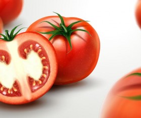 Realistic tomato with blurs background vector