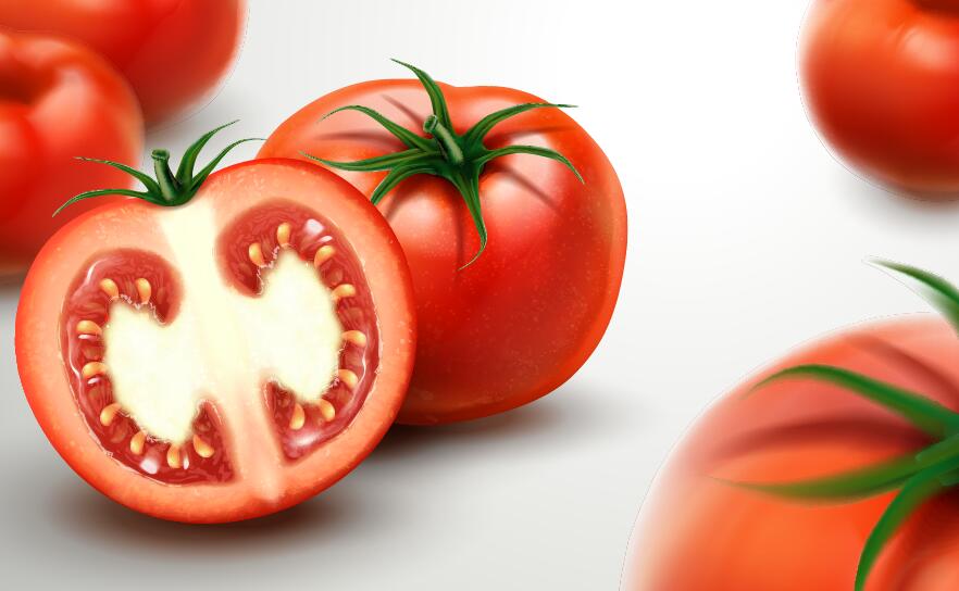 Realistic tomato with blurs background vector