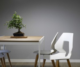 Small green tree decoration on table Stock Photo