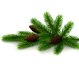 Spruce twig with cones on white background vector