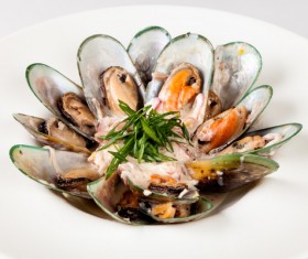 Steamed mussels Stock Photo 01