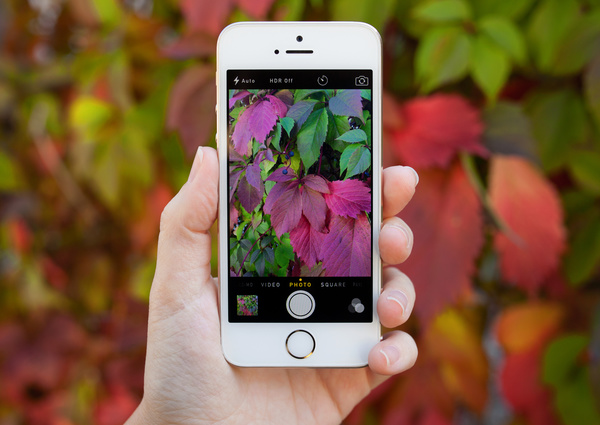 Take photo with iPhone smartphone Stock Photo