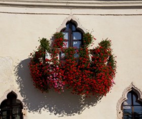 The walls are decorated with flowers Stock Photo