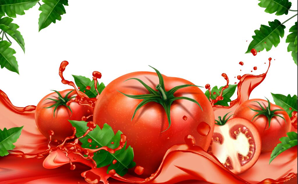 Tomato juice with white background vector design 01