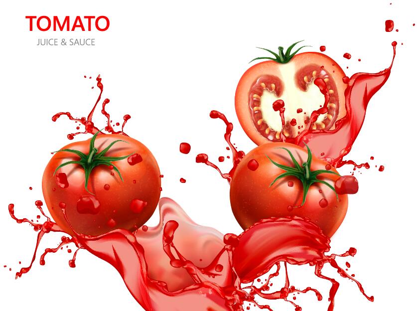 Tomato juice with white background vector design 03