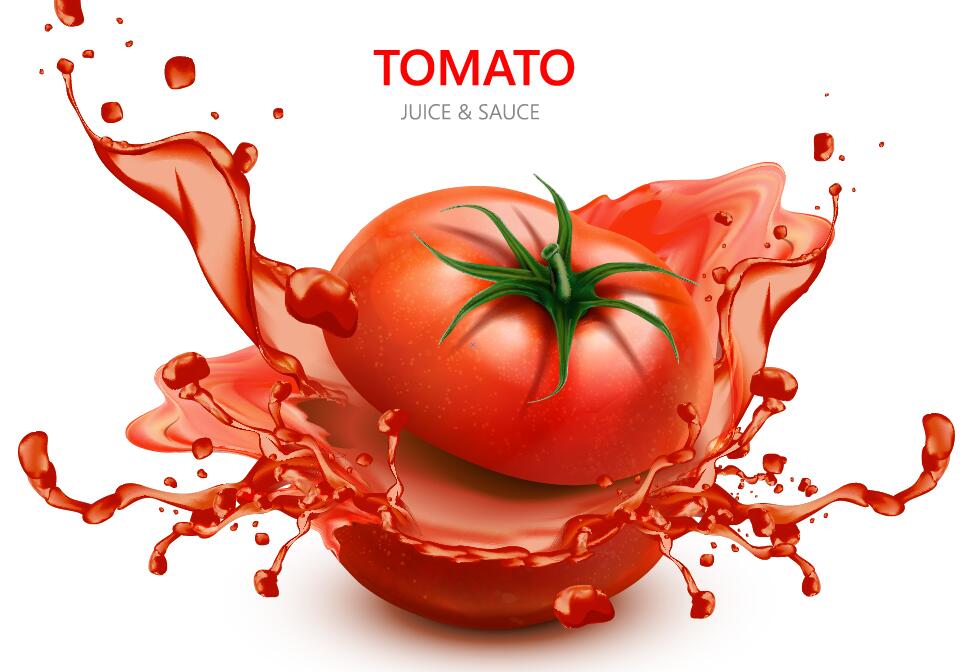 Tomato juice with white background vector design 05