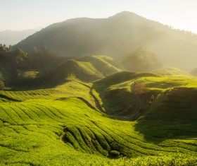 Undulating farmland on the hills Stock Photo