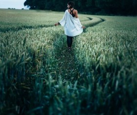 Walking in the green wheat field girl Stock Photo