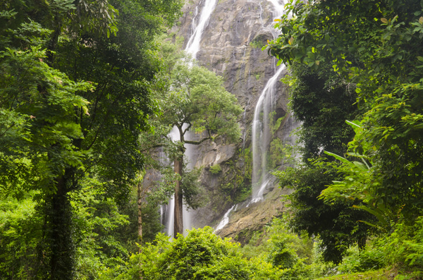 Waterfalls in tropical rain forests Stock Photo 02