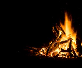 campfire Stock Photo 03