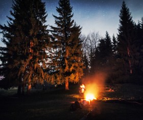 campfire Stock Photo 05