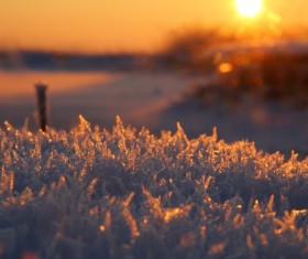 sunlight white snow Stock Photo