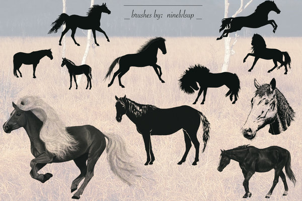 download brush horse photoshop