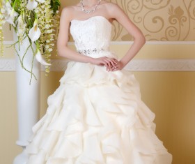 Beautiful brides wedding photo Stock Photo 04