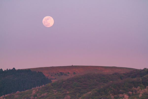 Beautiful moon scene on hill Stock Photo