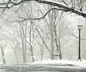 Beautiful snow scene Stock Photo