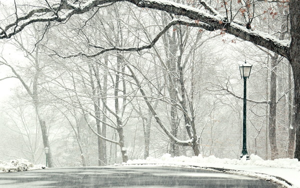 Beautiful snow scene Stock Photo