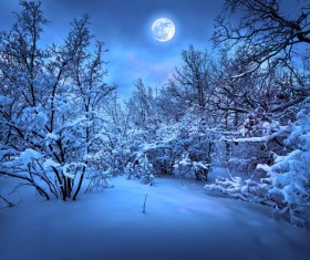 Beautiful snow scene with bright moon Stock Photo