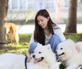 Beauty girl and Samoyed dog Stock Photo
