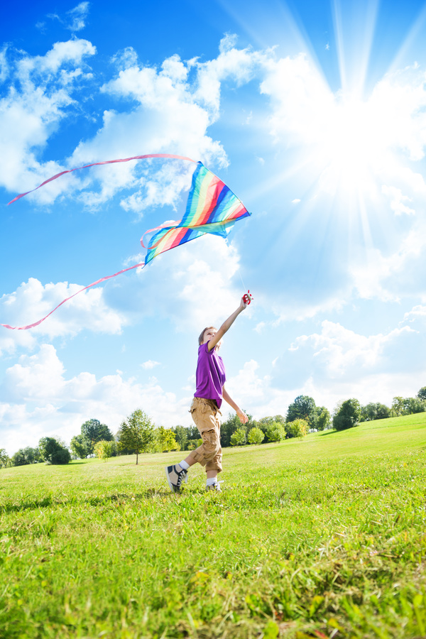 Children flying a kite on the grass Stock Photo