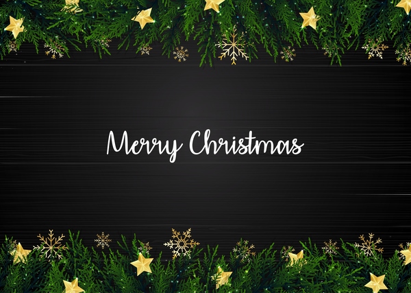 Christmas black background with fir border vector