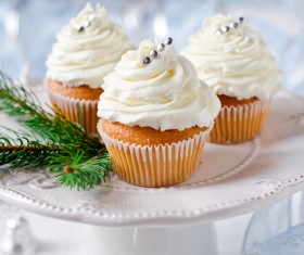 Christmas dessert Stock Photo 03