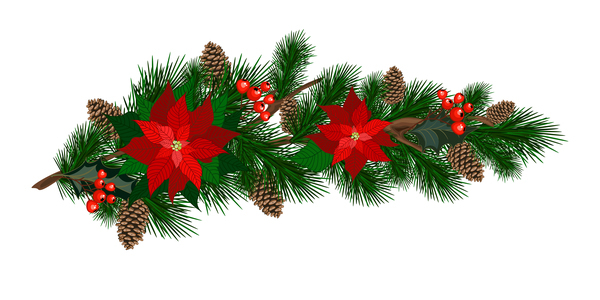 Christmas pine branches with holly ornaments vector illustration 04