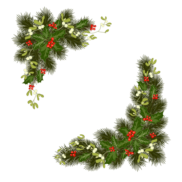 Christmas pine branches with holly ornaments vector illustration 05