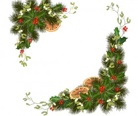 Christmas pine branches with holly ornaments vector illustration 07