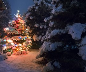 Christmas tree decorated with outdoor lantern Stock Photo