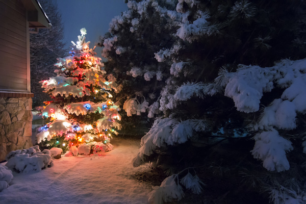 Christmas tree decorated with outdoor lantern Stock Photo