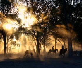 Cowboys under golden sunset Stock Photo