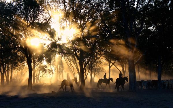 Cowboys under golden sunset Stock Photo